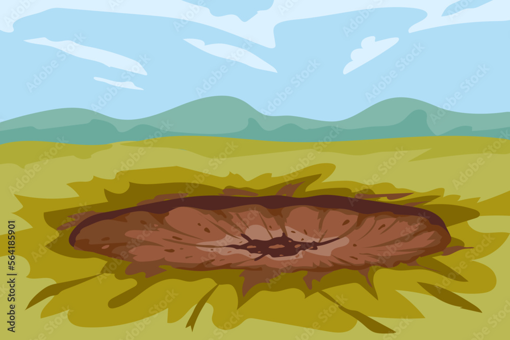 Canvas Prints crater is a trace from the explosion on the ground of a shell, mine, meteor