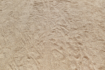 Fototapeta na wymiar footprints, tire tracks in the sand