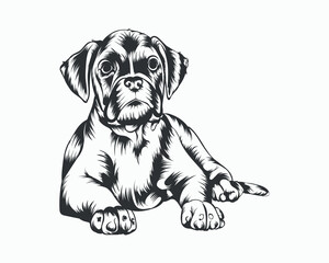 PrintBoxer Dog Vector illustration, Boxer Dog Vector on White Background