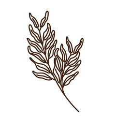 hand drawn shapes and floral leaf design elements. Exotic jungle leaves. Abstract contemporary modern