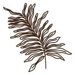 Obraz premium hand drawn shapes and floral leaf design elements. Exotic jungle leaves. Abstract contemporary modern