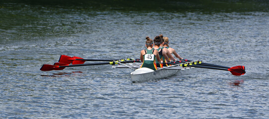 Ladies Fours Sculling Team Rowing on River. © harlequin9
