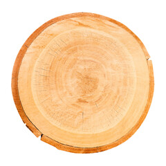 Cross section of tree trunk isolated on white background