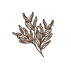 hand drawn shapes and floral leaf design elements. Exotic jungle leaves. Abstract contemporary modern