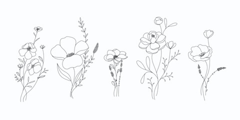 minimal botanical graphic sketch line art drawing, trendy tiny tattoo design, floral elements vector illustration - 564186396