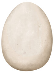 Watercolor illustration of the egg. Hand-drawn bird egg (chicken, goose, ostrich, etc) illustration isolated on a white background.