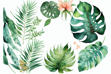 Watercolor tropical floral illustration set. Decorative elements template. Flat cartoon illustration isolated on white background.