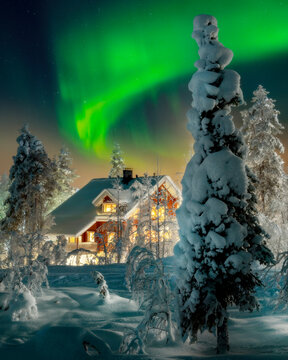 Beautiful winter night with Northern lights (aurora borealis) in the sky, deep snow covered trees and wooden hut in foreground. (high ISO image)