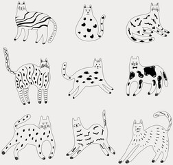 Doodle cats. Illustration of animals. Abstract kitty in different poses set.
