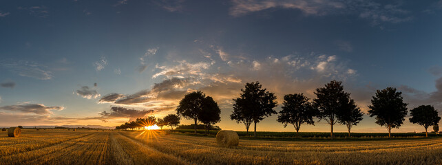 champ de blé après les moissons au coucher de soleil