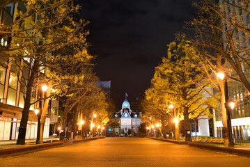 Fototapeta na wymiar 北海道庁赤レンガ庁舎の夜景