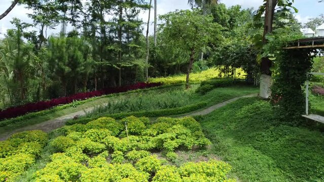 Drone flight through a stylish garden with flower beds surrounded by fresh green grass and trees