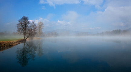 landscape with a bare tree in the morning at sunrise in the autumn time by the lake,