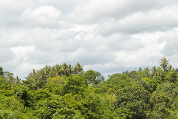 Fototapeta na wymiar Cloudy sky near Tegenungan waterfall, Bali, Indonesia. Jungle, forest, daytime.