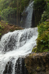 Fototapeta premium Uma Anyar waterfall, Bali, Indonesia. Jungle, forest, daytime with cloudy sky.