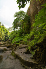 Fototapeta na wymiar Uma Anyar waterfall, Bali, Indonesia. Jungle, forest, daytime with cloudy sky.