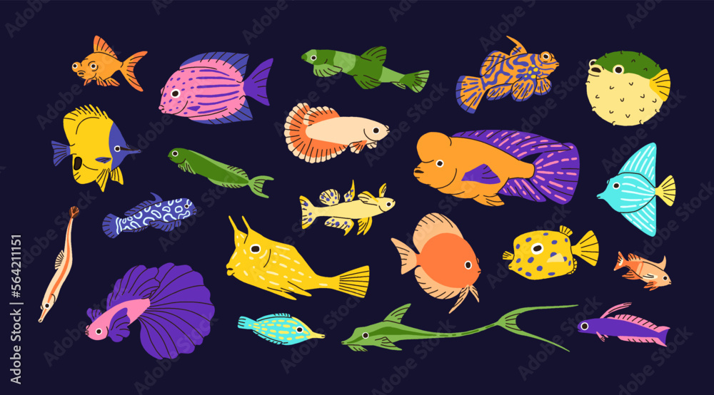 Wall mural Cute underwater fishes set. Ocean and sea water animals of different color, multicolored pattern. Tropical marine small creatures, species. Exotic aquatic fauna. Isolated flat vector illustrations