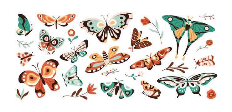 Pretty butterflies, beautiful moths, spring flowers, plants, nature set. Exotic gorgeous flying cute insects with multicolor wings, antennae. Flat vector illustrations isolated on white background