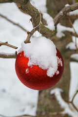 Eine knall rote Kugel zur Weihnachtszeit mit Schnee bedeckt an einem Baum im Freien.