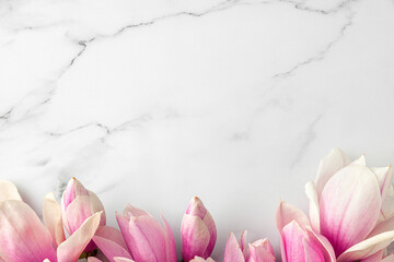 Pink magnolia flowers on white marble background. Wedding card. Flat lay. Layout. Top view