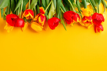 Yellow red tulips on yellow background. Seasonal Spring Holiday poster with free text space, greeting card, banner, flyer. Minimal concept of Hpayy Esater, Mother day, 8 march, Woman day, birthday
