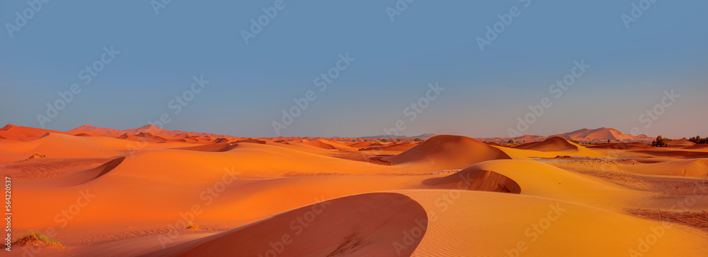 Wall mural Sand dunes in the Sahara Desert, Merzouga, Morocco - Orange dunes in the desert of Morocco - Sahara desert, Morocco