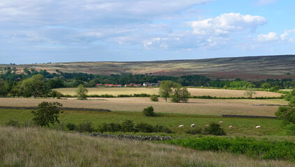 Fototapeta na wymiar A beautiful tranquil view across the North York Moors, Yorkshire, England, UK. 