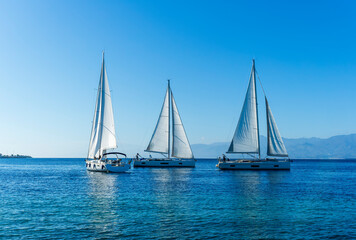Fototapeta premium sailing yacht boats with white sails in blue sea , seascape of beautiful ships in sea gulf with mountain coast on background