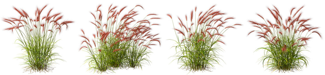 Red flora grass meadow flow shapes cut out transparent background 3d illustration png file