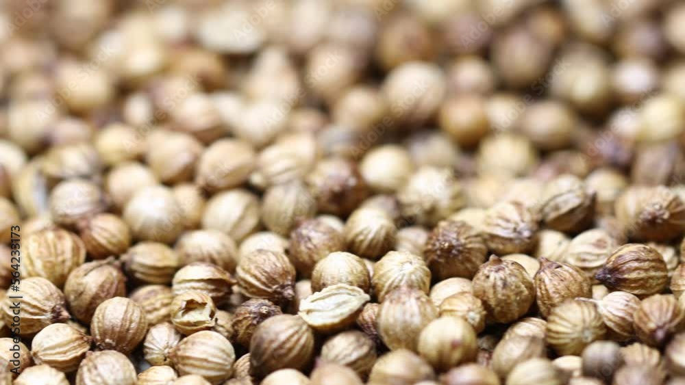 Poster a large pile of natural dried coriander in a pile. camera movement horizontal