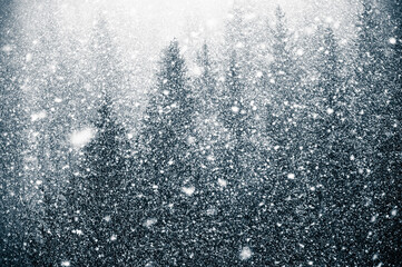Snowfall