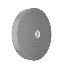 Bumper Weight Plate