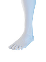 3D Rendered Medical Illustration of a man's foot