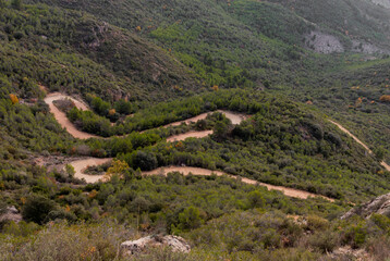 Fototapeta na wymiar Aerial shot of dirt mountain road with curves and abundant vegetation