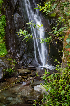 Selective focus on green leaves with blurred waterfall image in Fraga da Pena, Pardieiros PORTUGAL