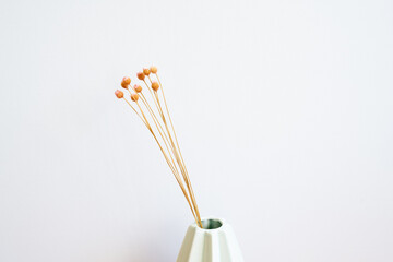 Vase of pink flower. white background. minimalism, copy space