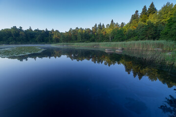 lac de l'oiseau