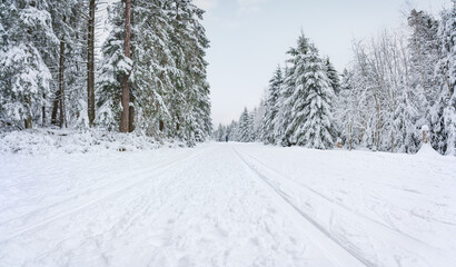  Snowy trees on a winter mountain road coverd by thick snow layer used as skiing slope during winter. Heavy snowfall coverd the land