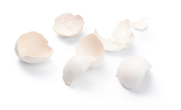 Egg shell isolated. Eggshell on a white background.