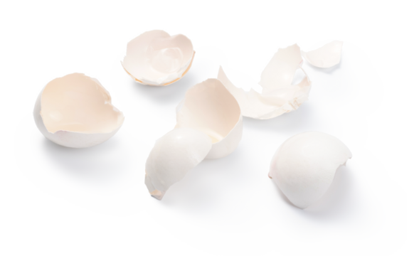 Egg shell isolated. Eggshell on a white background.