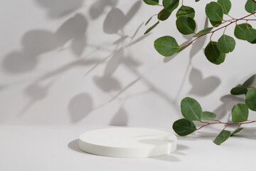 Empty white round podium and green eucalyptus branch with shadows on light grey background....