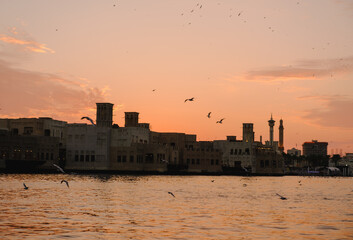 View of Dubai creek with lots of seagulls and at sunset, Dubai, UAE