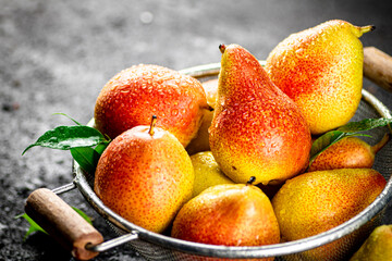 Fresh pears with leaves in a colander. 