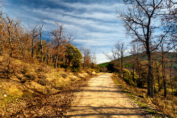Camino del Molinillo