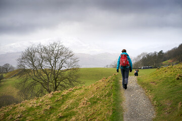Obraz premium A hiker and their dog walking along the narrow road, track, that leads to High Skelghyll Farm on a cold winters morning in the Lake District Cumbrian Mountains, England, UK.