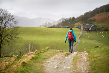 A hiker walking along the narrow road, track, that leads to High Skelghyll Farm on a cold winters morning in the Lake District Cumbrian Mountains, England, UK.