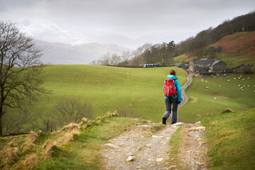 Obraz premium A hiker walking along the narrow road, track, that leads to High Skelghyll Farm on a cold winters morning in the Lake District Cumbrian Mountains, England, UK.