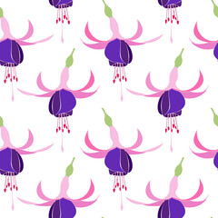 Obraz premium Pattern Pink and Purple Fuchsia Bella. Vector illustration