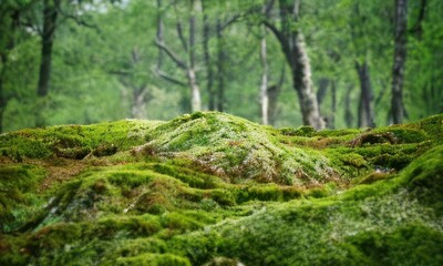 nature background created with Generative AI