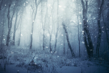 Fototapeta na wymiar snow falling in woods, fantasy winter landscape